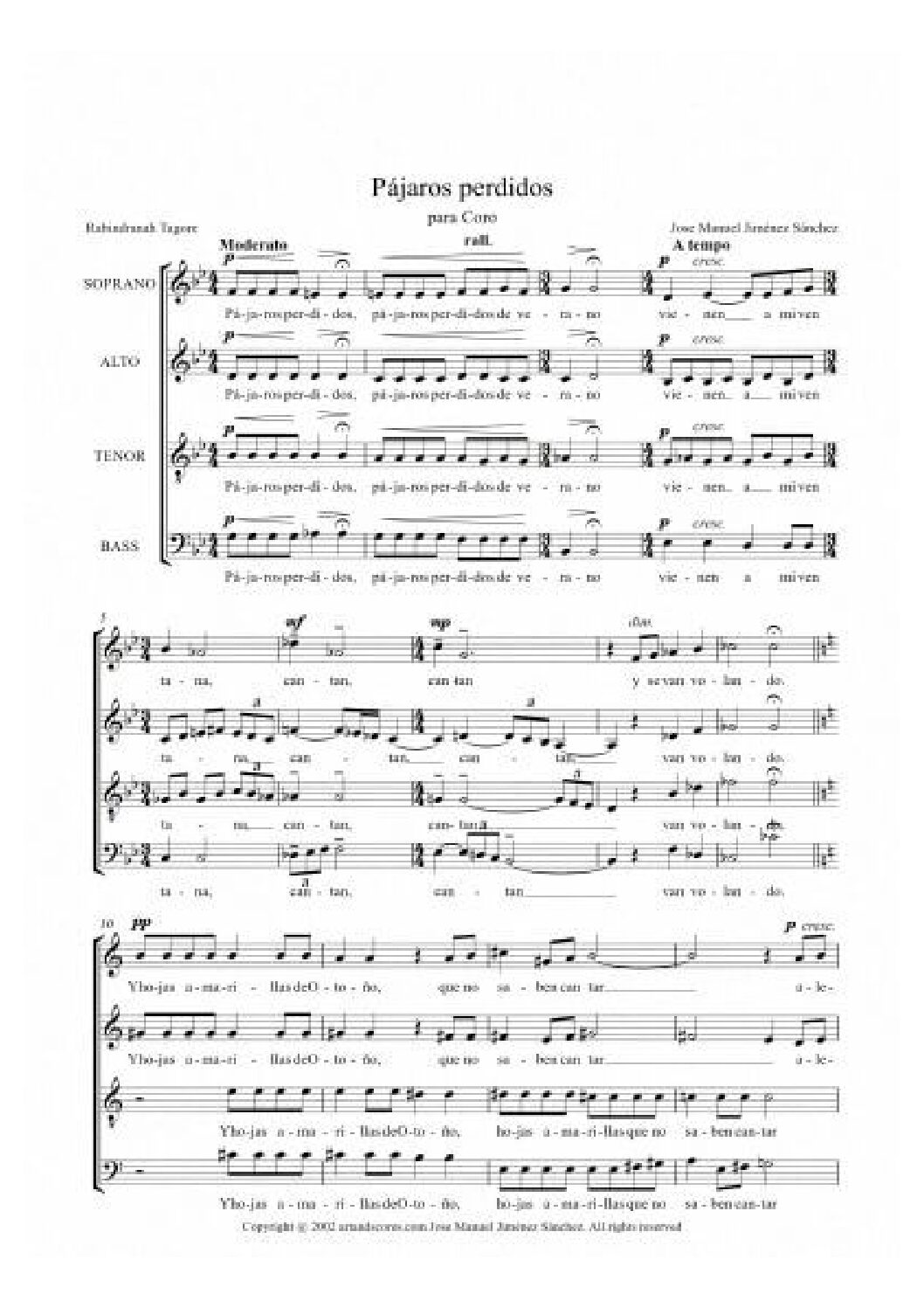 https://laprobetta.vip/wp-content/uploads/2025/05/Lost-birds-choir-excerpt-1-pdf.jpg